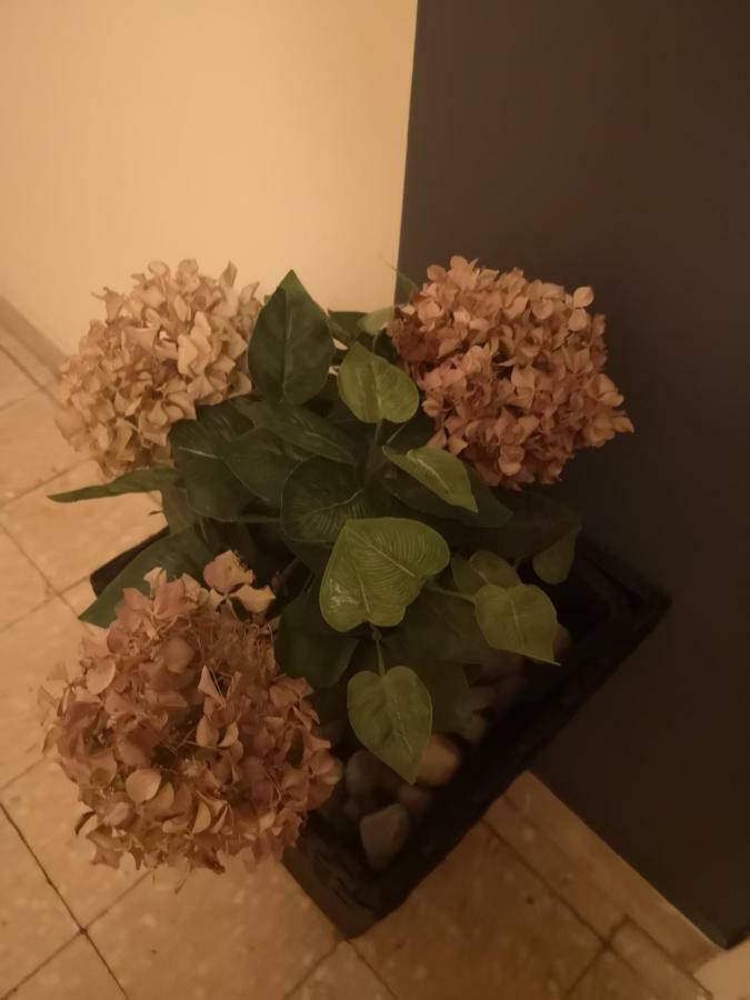 Apartman Mera Appartement Zadar Buitenkant foto